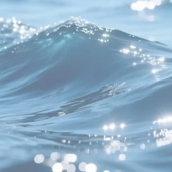 famille-aquatique